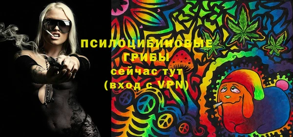 ПСИЛОЦИБИНОВЫЕ ГРИБЫ Алзамай